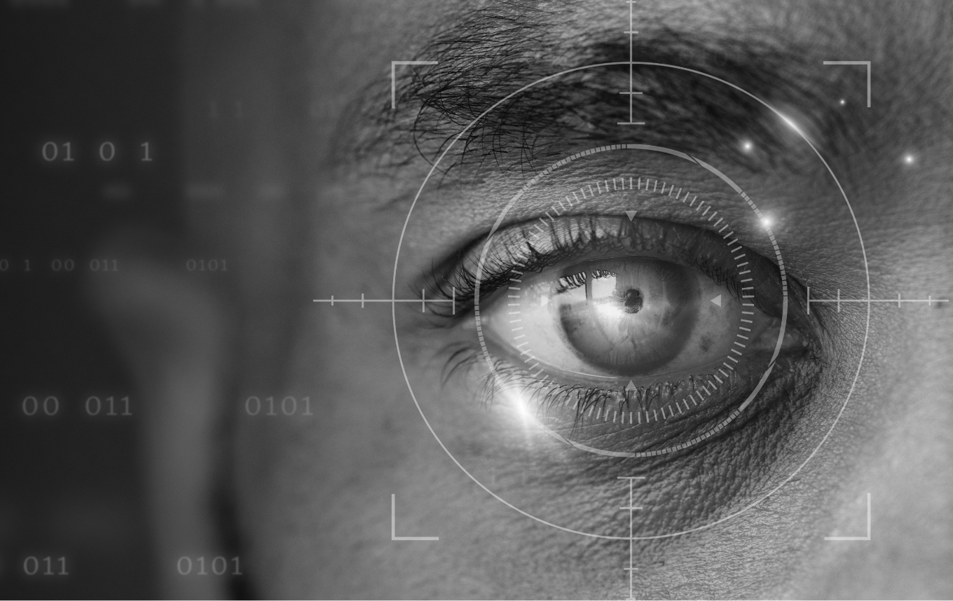Visual Object Recognition